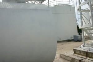 IMG_0196